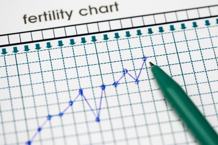 Cycle Day 3 Fertility Tests FSH Testing RMACT